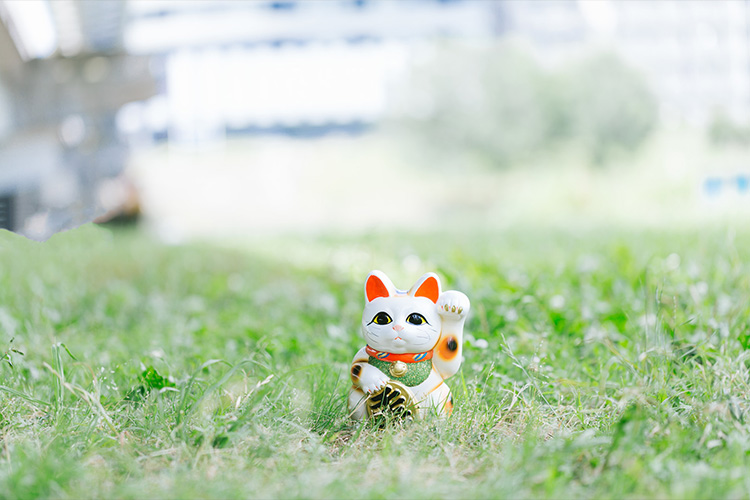 天恩日のイメージ